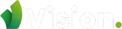 Vision